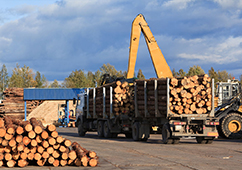 保證性?xún)r(jià)比