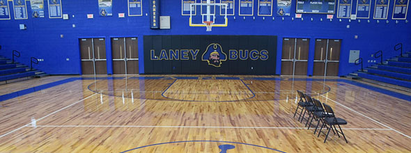 體育木地板的材質(zhì)是什么