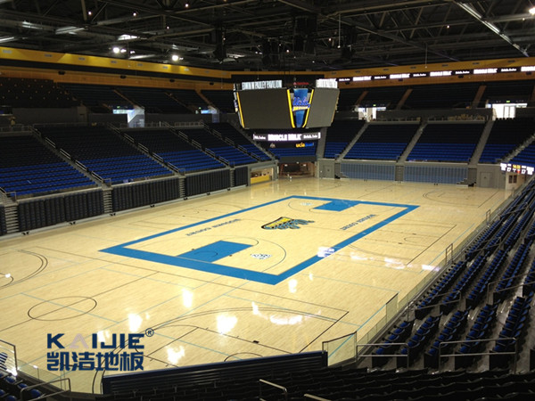 體育木地板價格