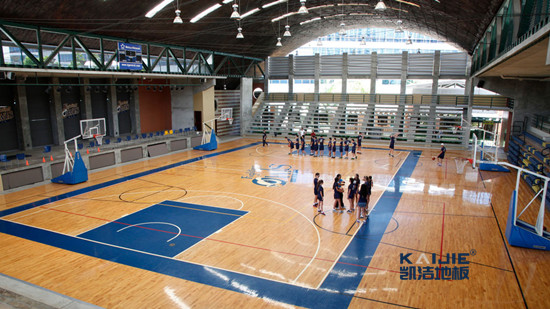 專業(yè)籃球場地劃線和相關配套設施的標準