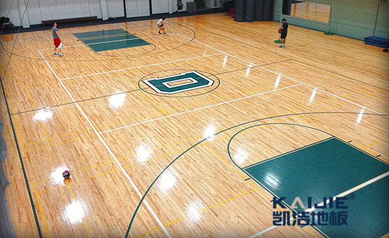 籃球運(yùn)動木地板：有蟲蛀，怎么辦？