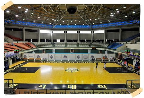 凱潔地板溫馨提示：警惕實木運動地板安裝中的貓膩 ！