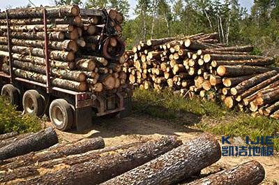 運動木地板的色差，這是科學(xué)的解釋！