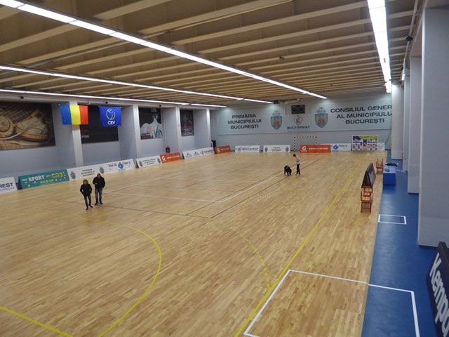 籃球木地板結(jié)構(gòu),運動木地板結(jié)構(gòu),體育木地板結(jié)構(gòu)