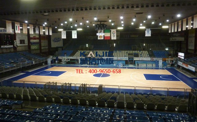 籃球木地板廠(chǎng)家,體育木地板廠(chǎng)家,運(yùn)動(dòng)木地板廠(chǎng)家
