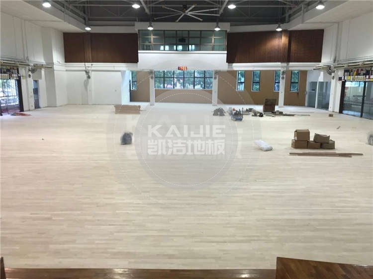 新加坡體育館木地板項目案例